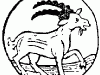 Capricorne